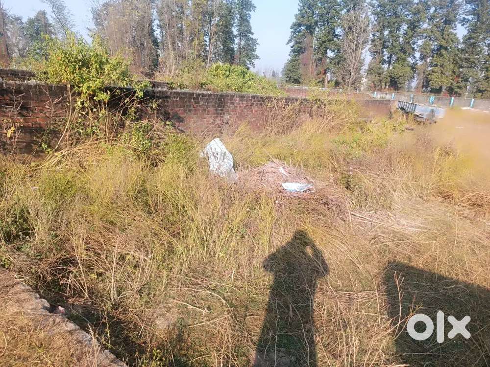 Sale plot in vesthpeeth