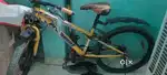 Promount cycles