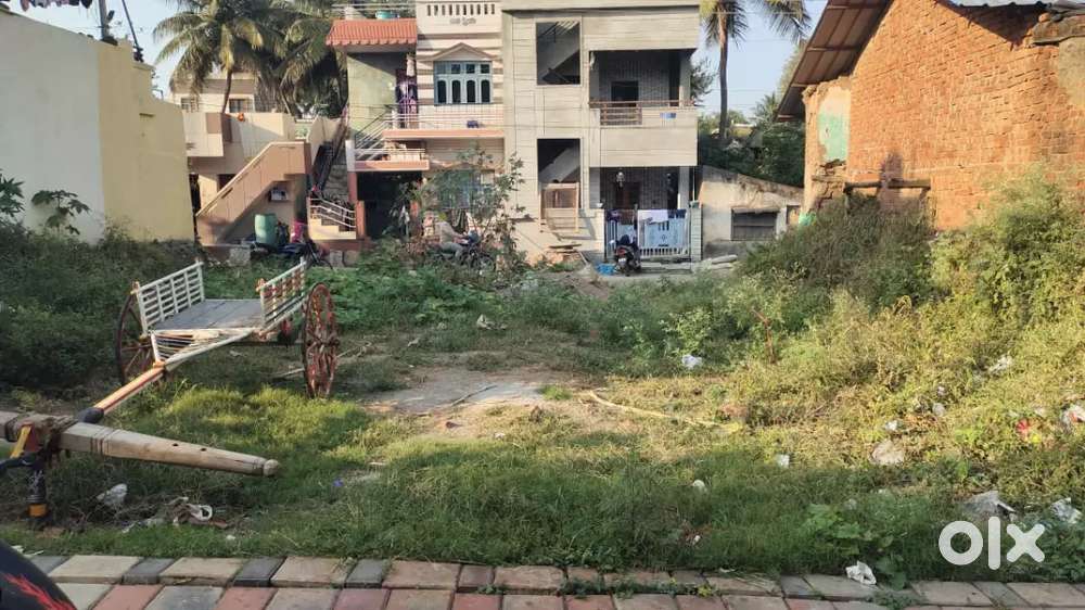 Single owner Clear Document plot