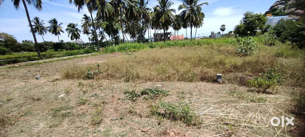 one single payment I give most affordable price never given others.