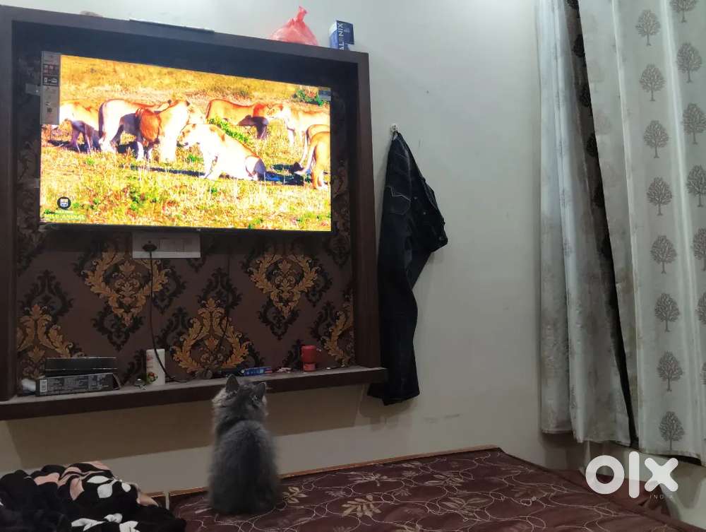 ME SMART LED 43 INCH