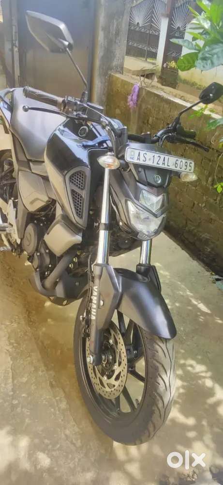 Totally new fz 10 months old