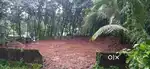 Plot for Sale in Varakulam, Manimooly, Edakkara