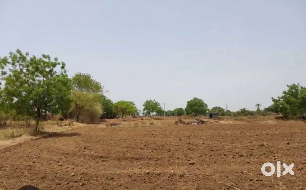1bigha use for house and farming