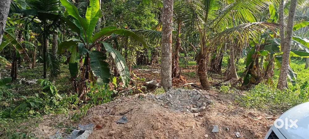 15 cent karabhoomi facing north