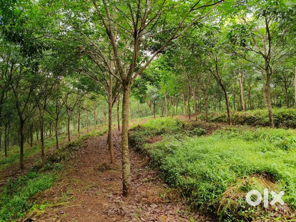 COMMERCIAL LAND.  കുണ്ടറ,കൊല്ലം കൊട്ടാരക്കര റോഡ്. 50 സെന്റ്.