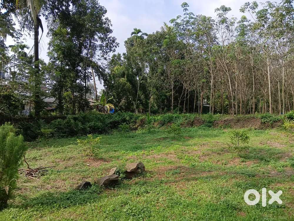 8 cent land for sale near meempara junction.Junction 100m