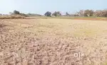 5,00,000 Acre