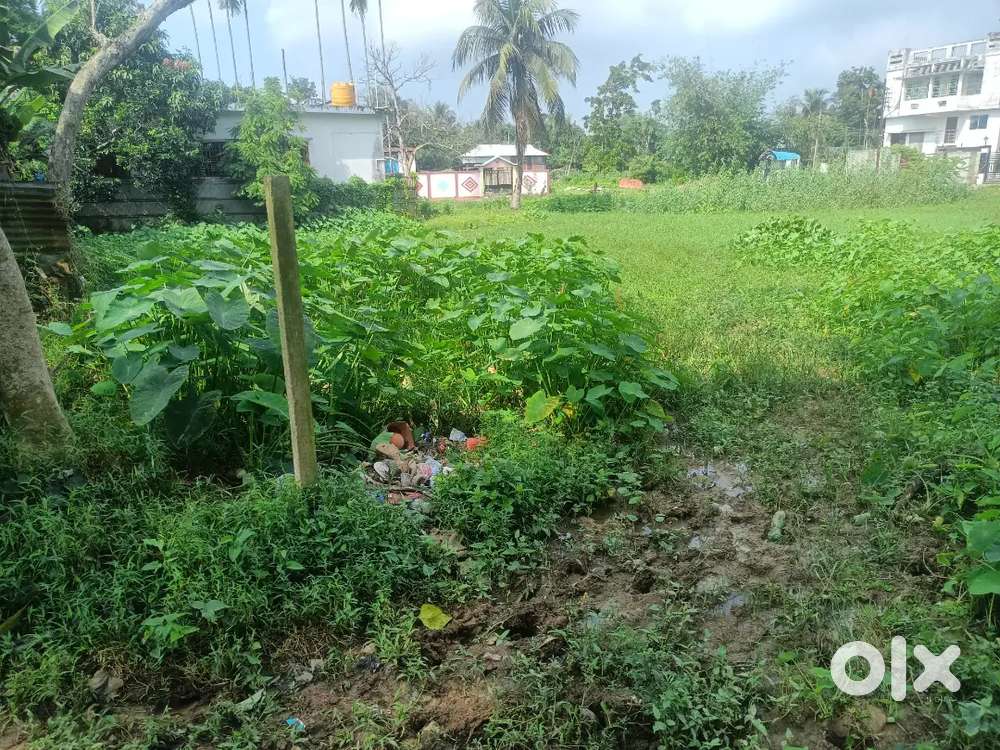 জায়গা বিক্রি