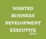 WANTED BUSINESS DEVELOPMENT EXECUTIVE