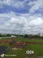 Plots for sell