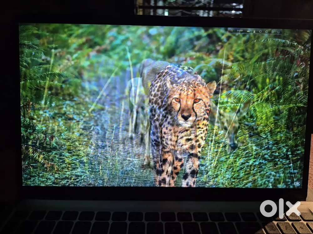 DELL Inspiron laptop