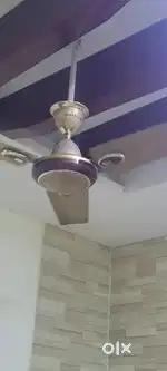 Cooktops kaff and 4 fans Havels