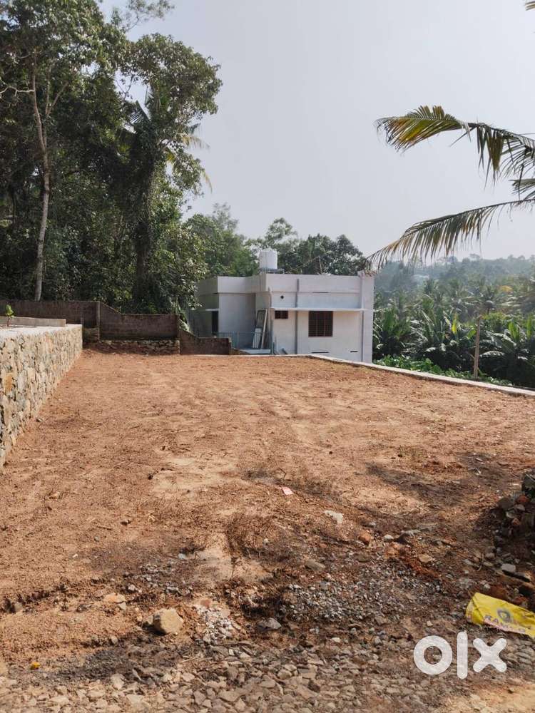 Plot for Sale(Near Pangappara Health Centre)