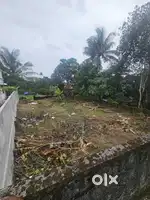 PLOT FOR SALE AT KAKKANAD INFOPARK THENGOD