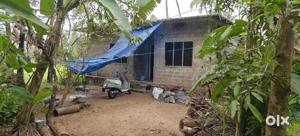 2 BHK, 600 SQ. FEET HOUSE, 9 cent plot