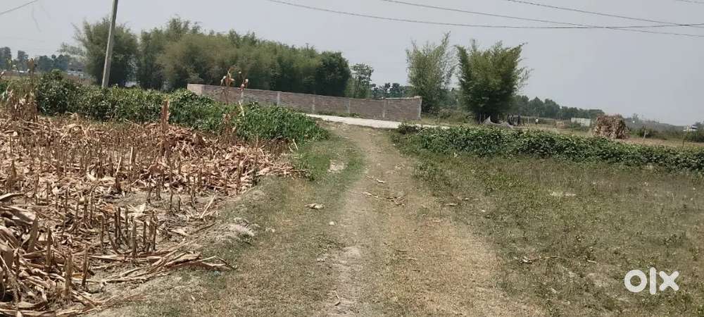 Fresh plot before possion and than agriment.