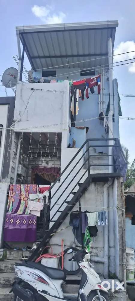 1 year old House