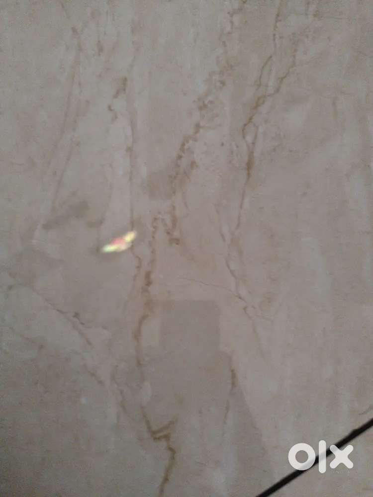 കോട്ടയം കൈത്തെപ്പാലം ചക്കഞ്ചിറയിൽ 15cent plain plot വില്പനക്ക്