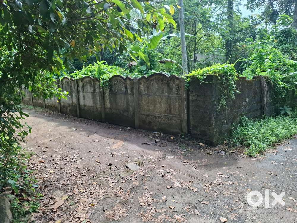 6 cent land for sale near Desom Aluva