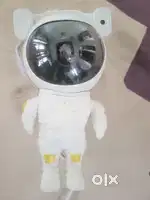 Projector light