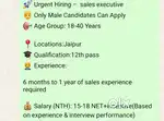 Sales executive