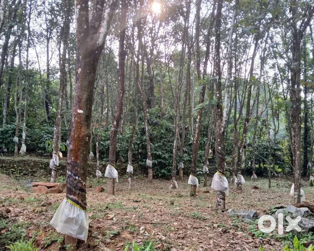 20 Cent Plot For Sale - Two Sides Tar Road