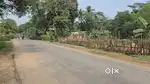 Road side land rental at Bari,Jajpur,Pin-755010