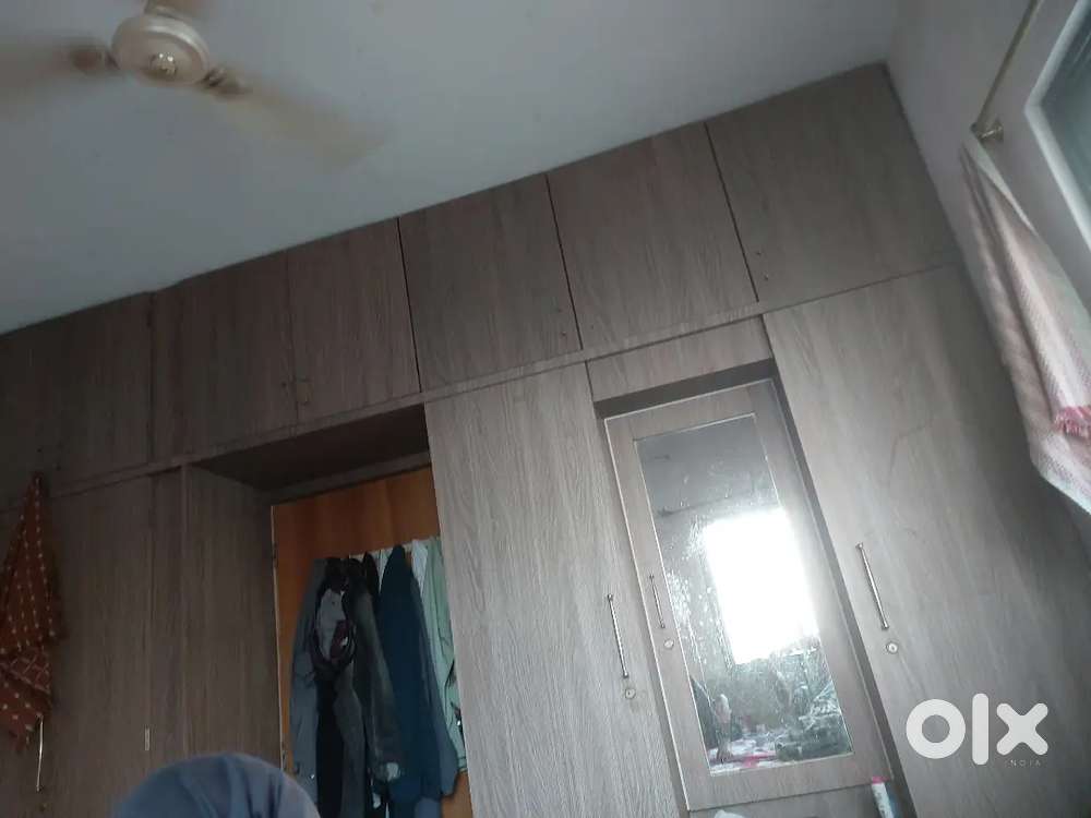 2 bachelor boys vaccines available