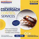 Pest Control services in Delhi NCR & Meerut