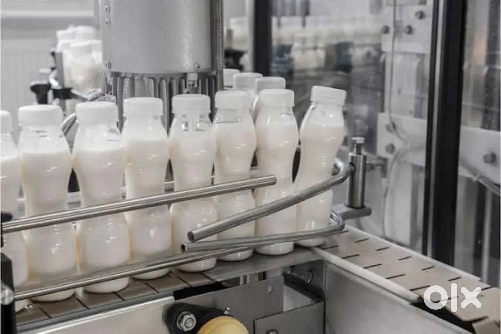 Wanted m/f  packing [ night / day ]