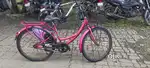 Ladybird Breeze Cycle 26T for Sale