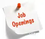 Customer Support Executive