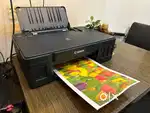 Canon G 1000 inktank colour printer