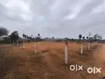 Kinwat road bhokar plot