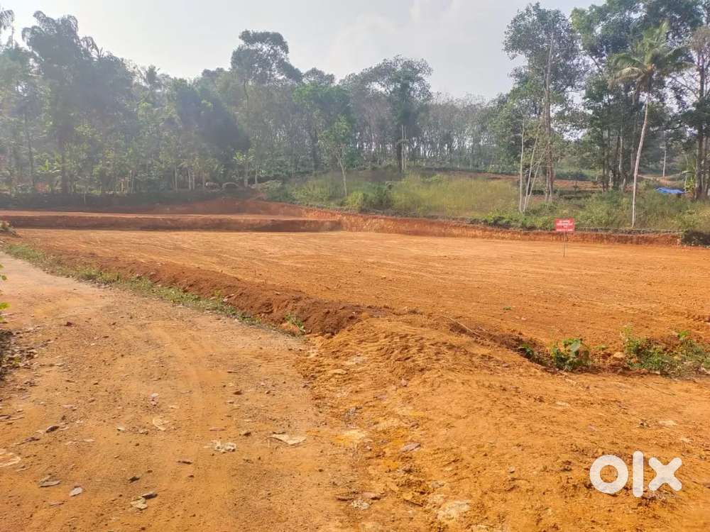 അങ്ങാടിവയൽ  മണർകാട് 5 cent മുതൽ 35 സെൻ്റ് വരെ പഞ്ചായത്ത് റോഡ് സൈഡ്