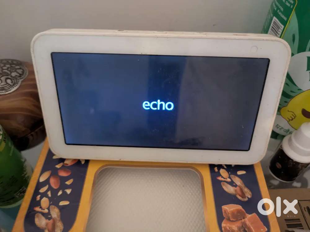 Alexa echo