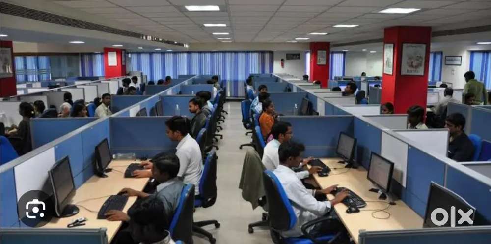 Telicaller deta entry sales work