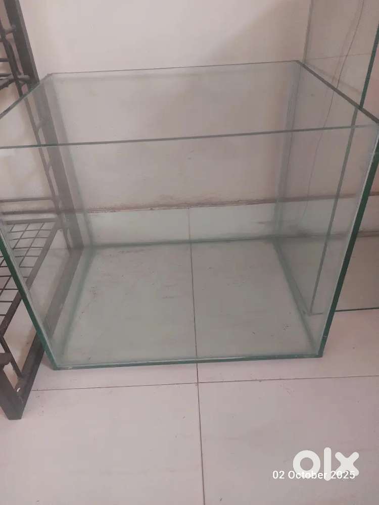 FISH TANK FOR URGENT SALE