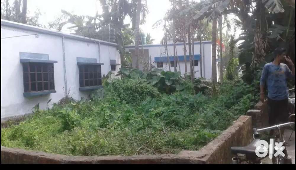 2 kata 4 chotak plot