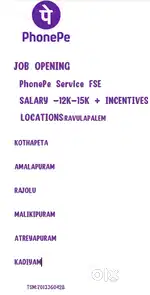 Phonpe promoter