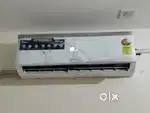 New AC 04 month old