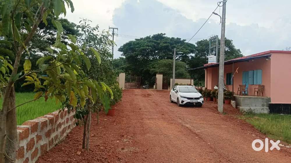 Residential GHARBARI plots for sale near RANGABAZAR-Balianta,BBSR