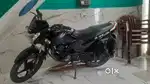 All original full insurance