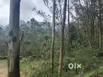 Land For Sale in Munnar Anachal