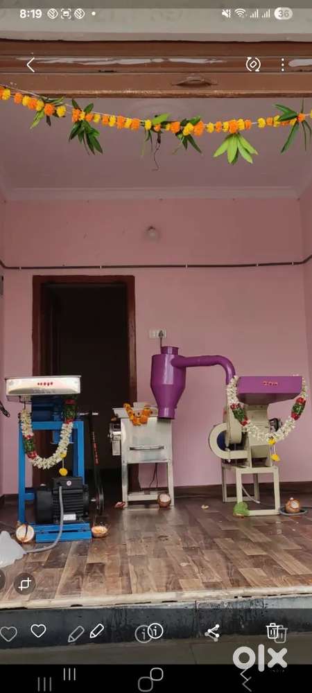 Mirchi,Haldi. Ginger. Missionary