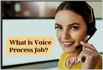 Team Leader (BPO)