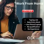 Data Entry Job