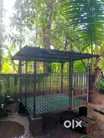 Dog cage for selling