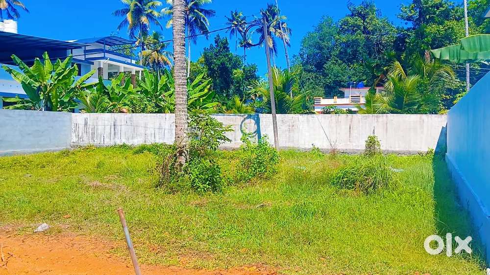 ചേർത്തല ഒറ്റപ്പുന്നജംഗ്ഷന് കിഴക്ക് ശക്തീശ്വരത്തിനുസമീപം